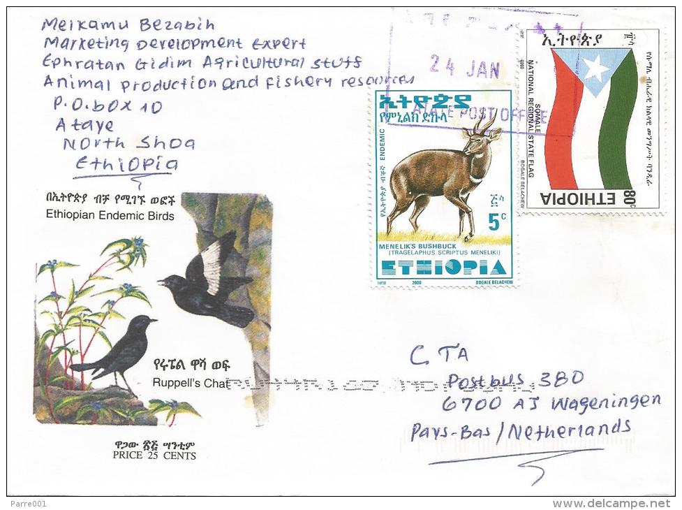 Ethiopia 2001 Ataye Flag Bushbuck Antilope Cover - Ethiopië