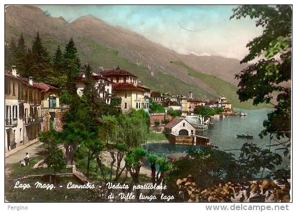 4235/A/FG/13 - CANNOBIO (VERBANIA) - Panorama - Verbania