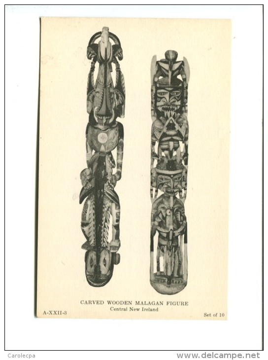 FIELD MUSEUM OF NATURAL HISTORY CHICAGO U.S.A Carved Wooden Ancestral Figures - Autres & Non Classés