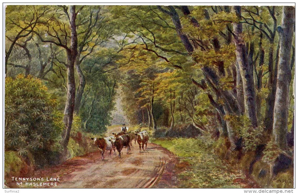 A R QUINTON 1068 - TENNYSON'S LANE, Nr HASLEMERE - Quinton, AR