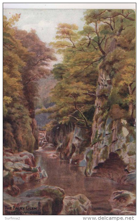 A R QUINTON 1077 - THE FAIRY GLEN, BETTWS-Y-COED - Quinton, AR