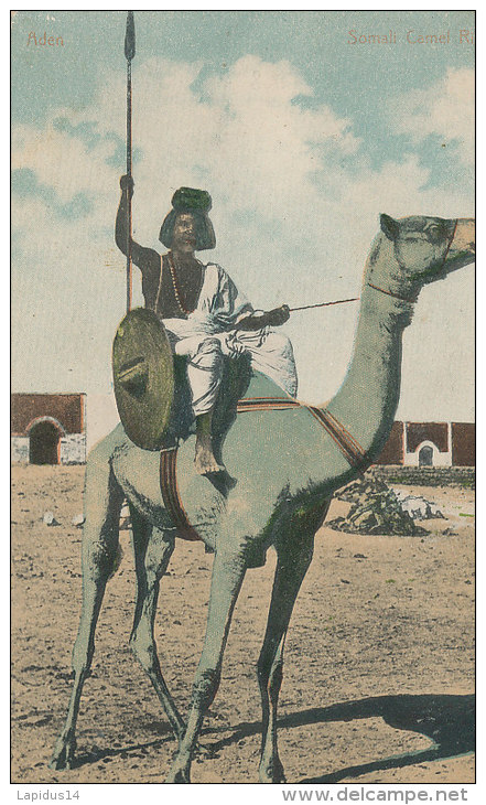 N N 880 / C P A  -C P A    AFRIQUE - COTE DES SOMALI ADEN  CAMEL RIDER - Somalia