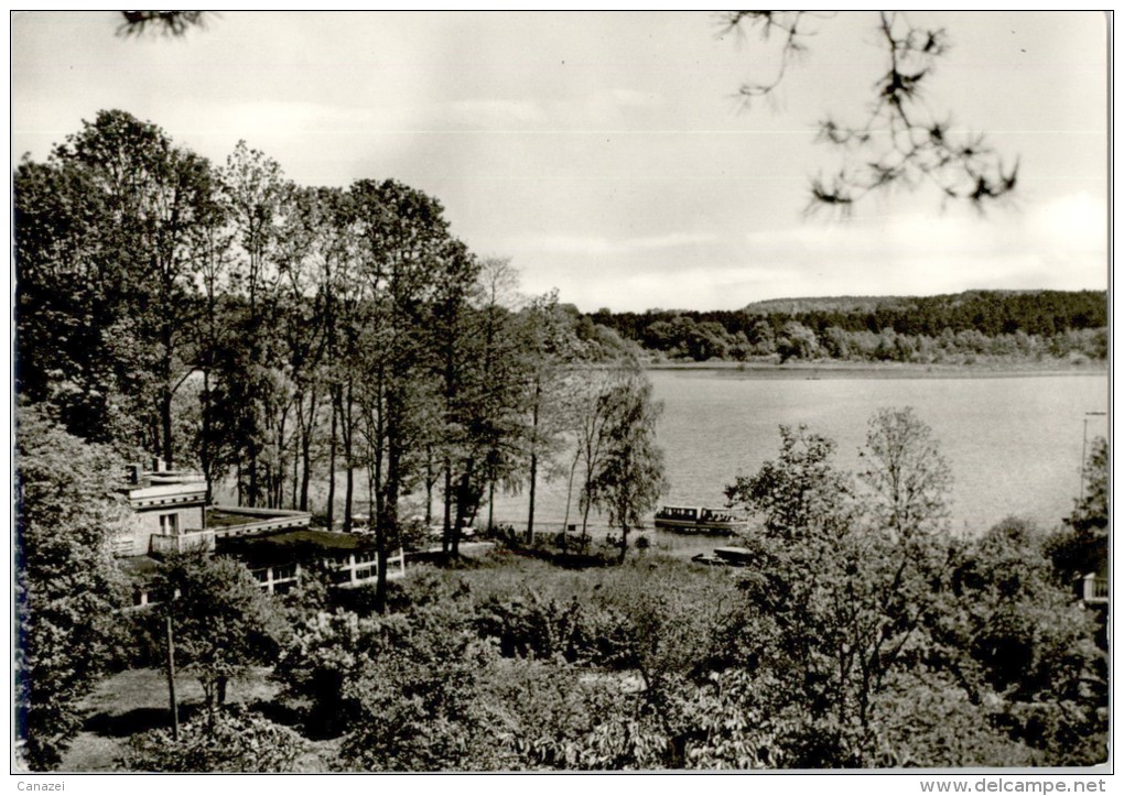 AK Buckow, Gasthaus Buchenfried Am Schermützelsee, Motorschiff, Ung, 1977 - Buckow