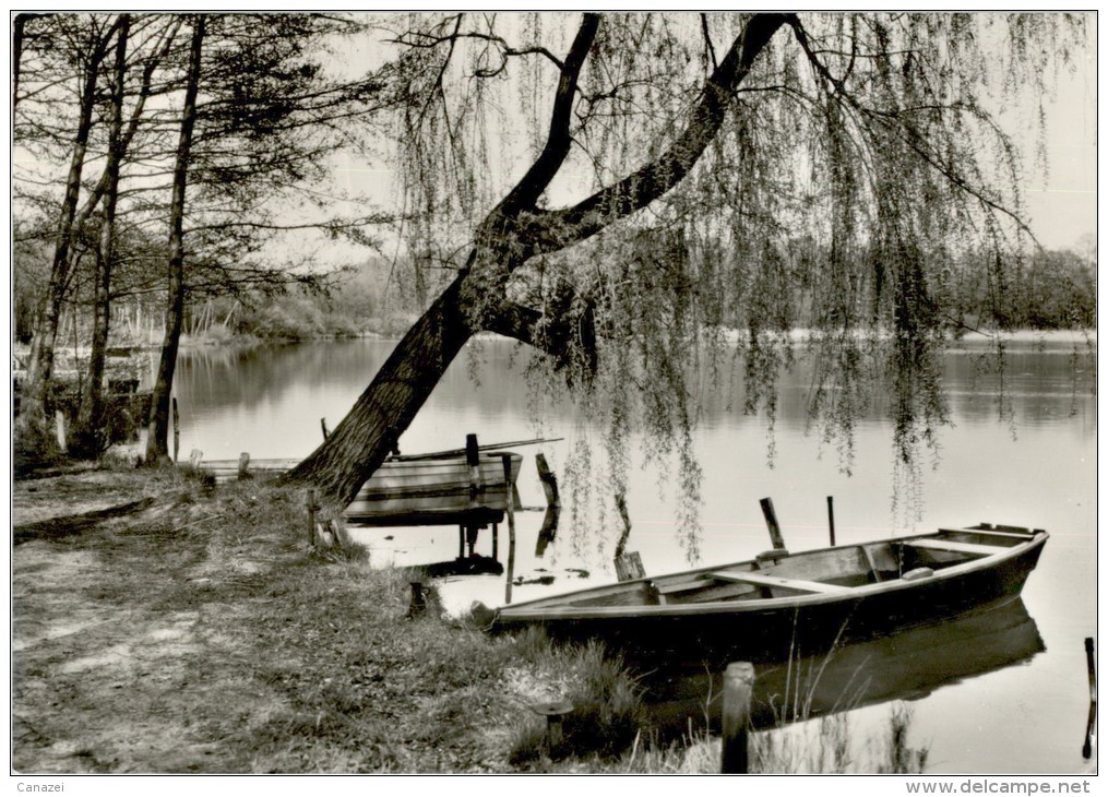 AK Bestensee, Kr, Königs Wusterhausen, Am Pätzer Hintersee, Gel, 1977 - Königs-Wusterhausen