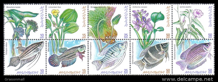 1999 Freshwater Fish Flower Flower Flora Malaysia Stamp MNH - Malaysia (1964-...)