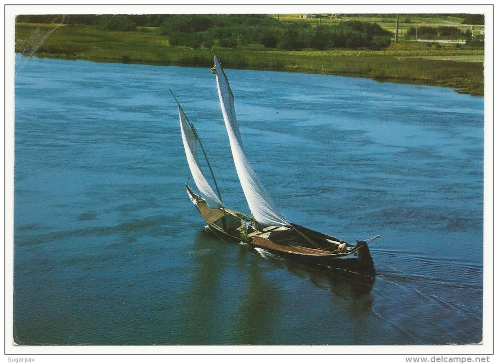 RIA DE AVEIRO - BARCO MOLICEIRO - PORTUGAL - Ed. Publ. Alfa N.º 333 - 2 SCANS - Aveiro