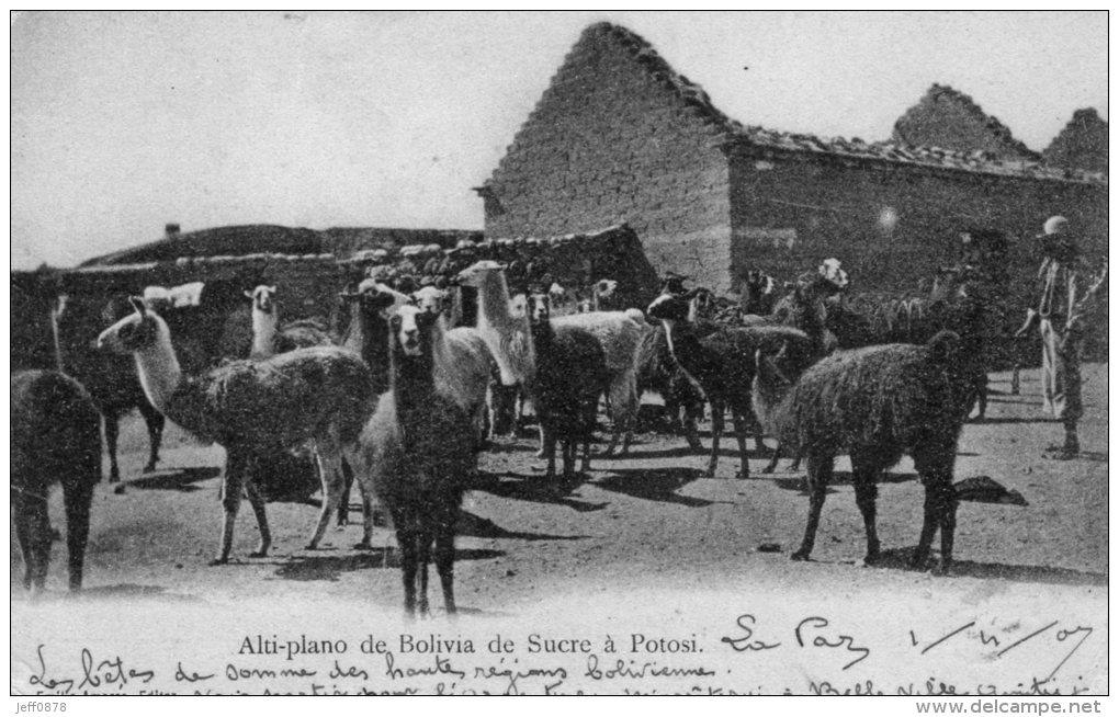 BOLIVIE - POTOSI - Alti Plano De Bolivia à POTOSI - Très Bon état - 2 Scans - Bolivie