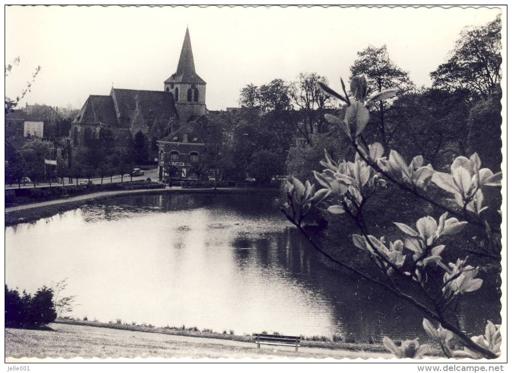 Dilbeek Gemeentehuis En St.Ambrosiuskerk - Dilbeek