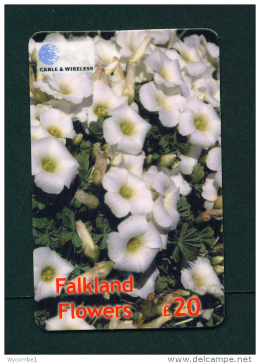 FALKLAND ISLANDS - Remote Phonecard Flower/Scurvy Grass - Falkland Islands