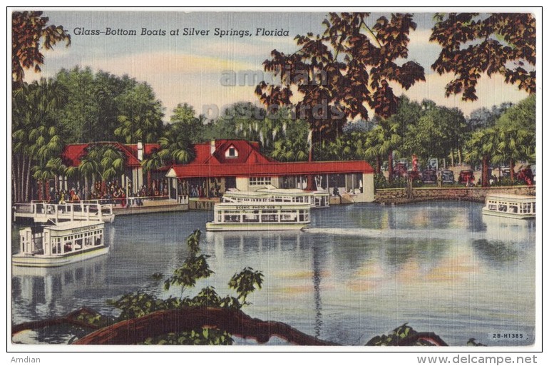 USA, SILVER SPRINGS FL, GLASS BOTTOM BOATS, 1940s Vintage Linen Postcard ~ FLORIDA TOURIST ATTRACTION  [4039] - Silver Springs