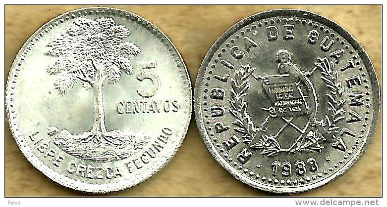 GUATEMALA 5 CENTAVOS  TREE FRONT EMBLEM BACK 1988 VF+ KM? READ DESCRIPTION CAREFULLY !!! - Guatemala