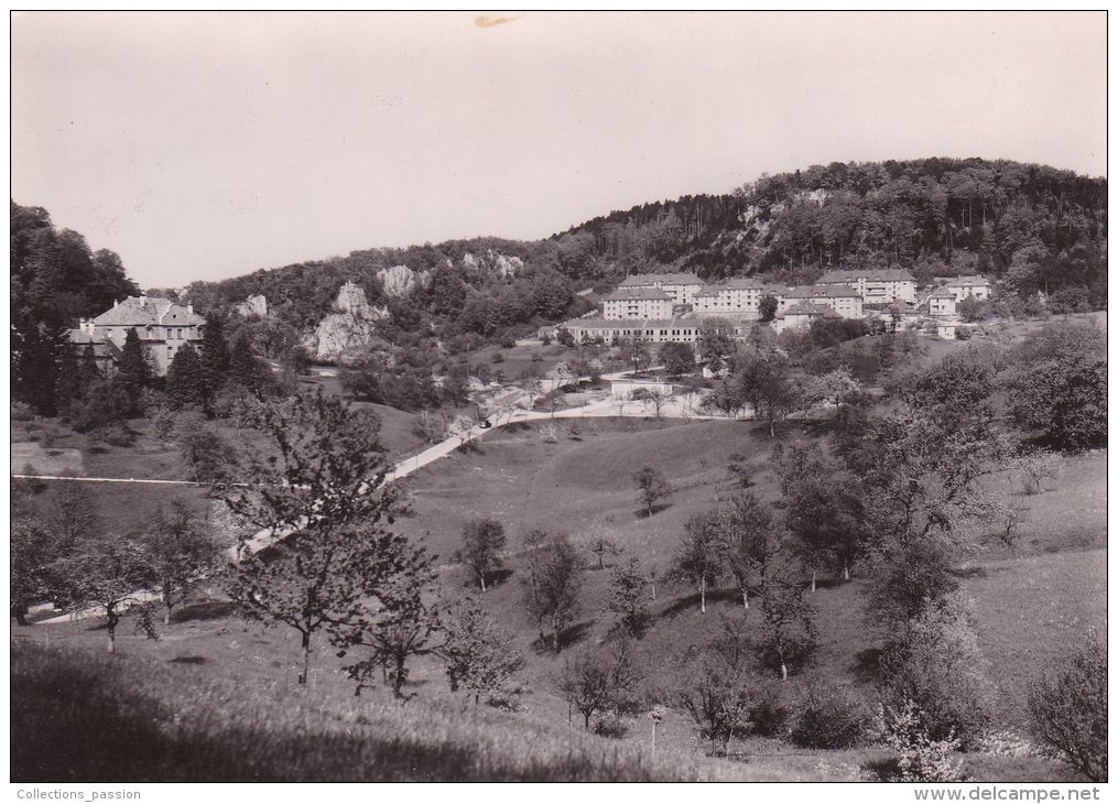 Cp , 68 , FERRETTE , Vue Sur Les Loechlefelsen Et Le Quartier Robelin - Ferrette