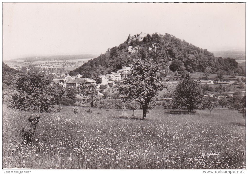 Cp , 68 , FERRETTE , Jura Alsacien , Vue Prise De La Hauteur De Sondersdorf - Ferrette