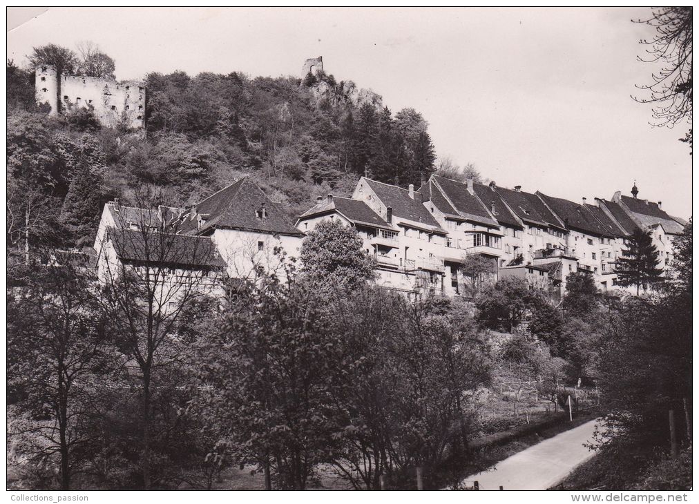 Cp , 68 , FERRETTE , Château Et Ville Haute - Ferrette