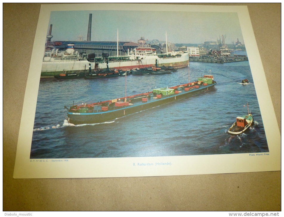 Cliché   Année 1956  (27cm X 21cm)  Le Cargo Pétrolier SILEZIA Dans Le Port De ROTTERDAM  (Hollande)   Envoi Gratuit - Bateaux