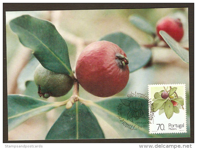 Portugal Madère Goyave De Chine Fruit Carte Maximum 1991 Lemon Guava Madeira Maxicard - Tarjetas – Máximo