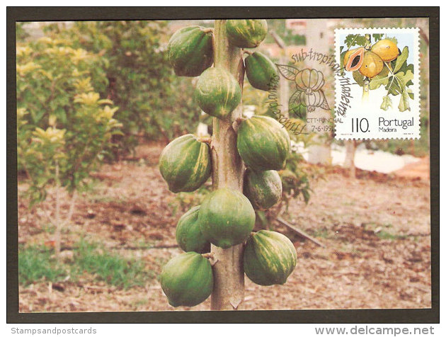 Portugal Madère Papaye Fruit Carte Maximum 1991 Papaya Madeira Maxicard - Tarjetas – Máximo