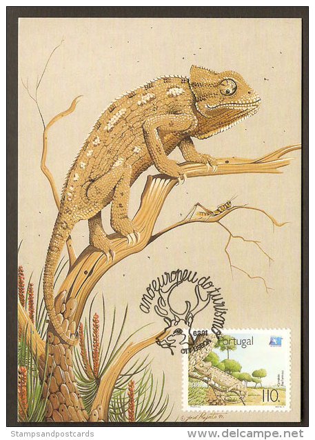 Portugal 1991 Caméléon Carte Maximum Portugal Chameleon 1991 Maxicard - Cartes-maximum (CM)