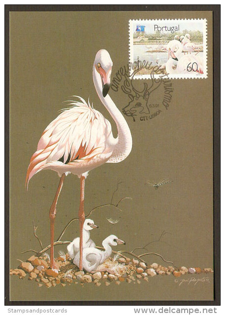 Portugal 1991 Flamant Carte Maximum Portugal Flamingo 1991 Maxicard - Tarjetas – Máximo