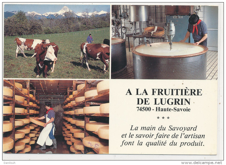 74 // A La Fruitière De LUGRIN    Fromagerie   Multivues  CPSM - Lugrin