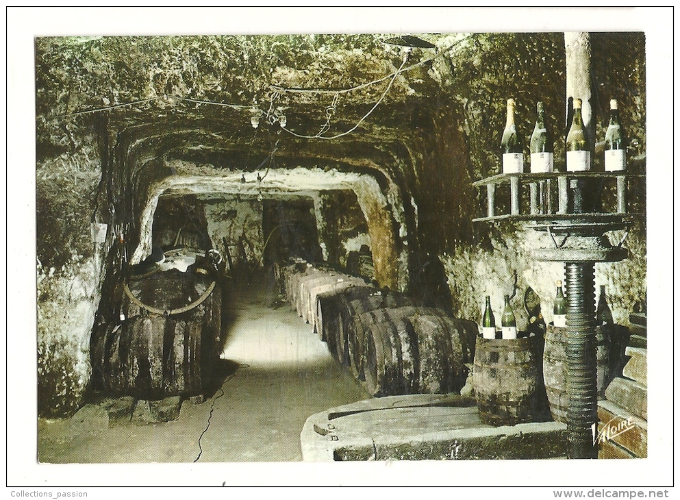 Cp, Vignes, En Touraine, La Cave Au Pressoir - Weinberge