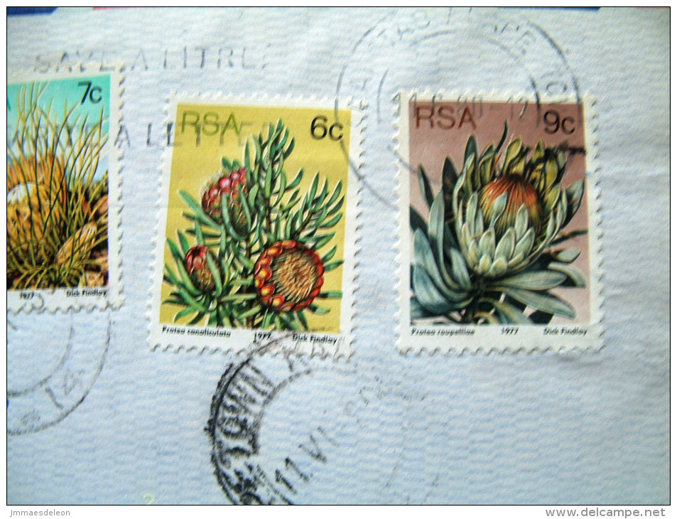 South Africa 1980 Cover To England - Flowers Protea - Autres & Non Classés