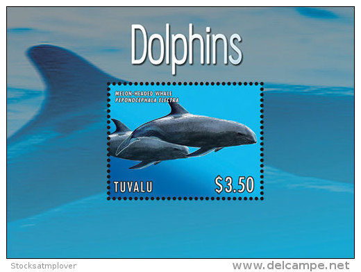 Tuvalu-2013-Marine Life-Dolphins Of Pacific - Dolphins