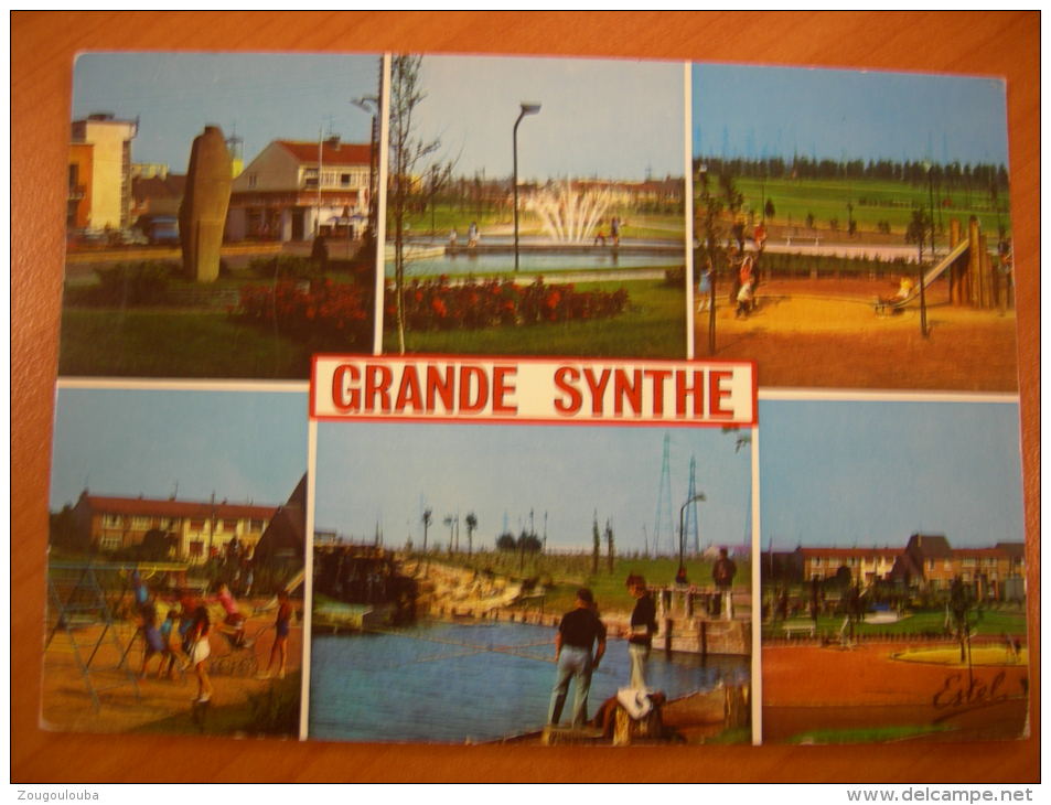 GRANDE SYNTHE Carte Multivue Jardin Public - Grande Synthe