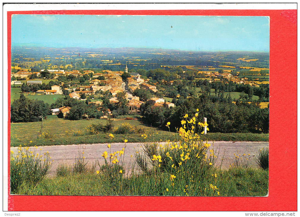 81 DOURGNE Cp Vue Générale      81 DO 104 Apa Poux - Dourgne