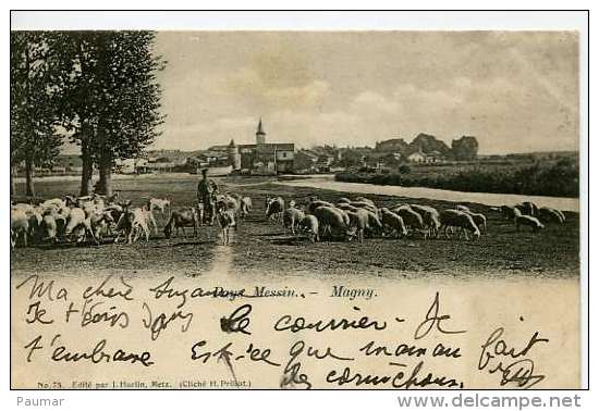 Magny   (Metz)  Berger Et Ses Moutons Sur Le Bord De La Seille   Hurtin No 75  Cliché Prillot - Altri & Non Classificati