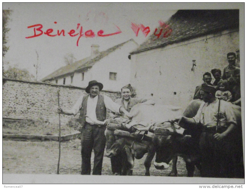 BENEJAC (Pyrénées-Atlantiques) - Paysan Et Ses Boeufs Attelés - Militaires Français En 1940 - Guerre 1939-45 - WW2 - Guerre, Militaire