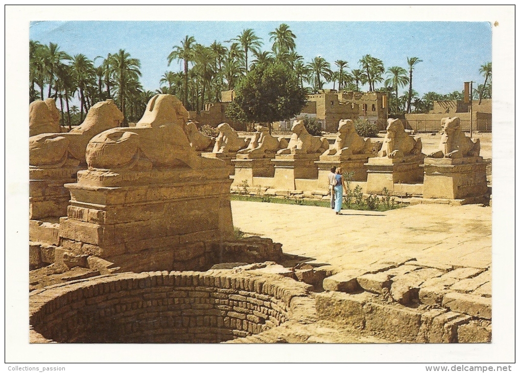 Cp, Egypte, Karnak, The Famous Sphinx Avenue At Amon Temple, écrite 1990 - Autres & Non Classés