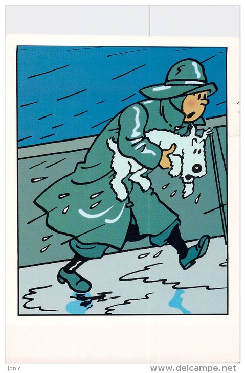 TINTIN - Hergé Moulinsart N° 36 - Hergé