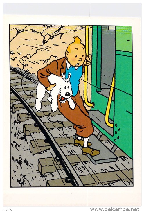 TINTIN - Hergé Moulinsart N° 42 - Hergé