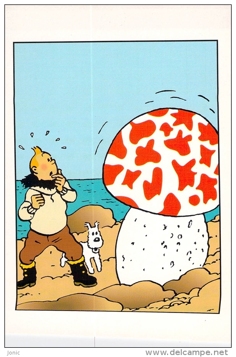 TINTIN - Hergé Moulinsart N° 38 - Hergé