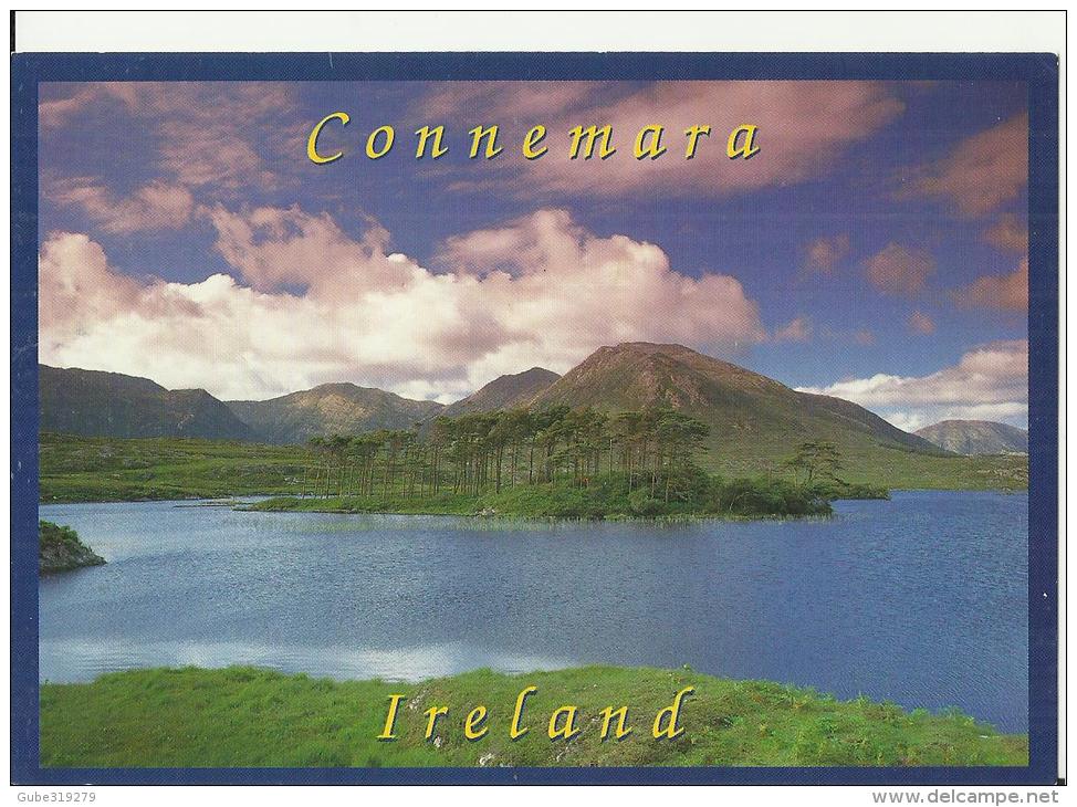 IRELAND  - POSTCARD – CONNEMARA  CO – GALWAY -  MOUNTAIN RANGE TWELVE BENS - NEW UNUSED – PERFECT RE 917 JOHN HINDE  NR - Galway