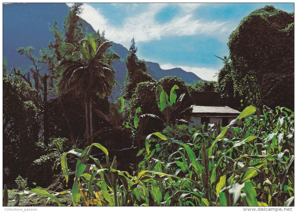 Cp , LA RÉUNION , Route Du Grand Ilet - Autres & Non Classés