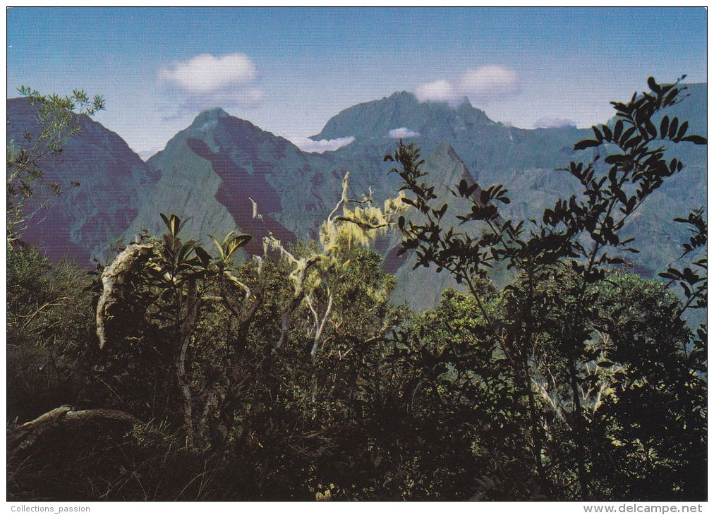 Cp , LA RÉUNION , Cirque De Mafate - Autres & Non Classés