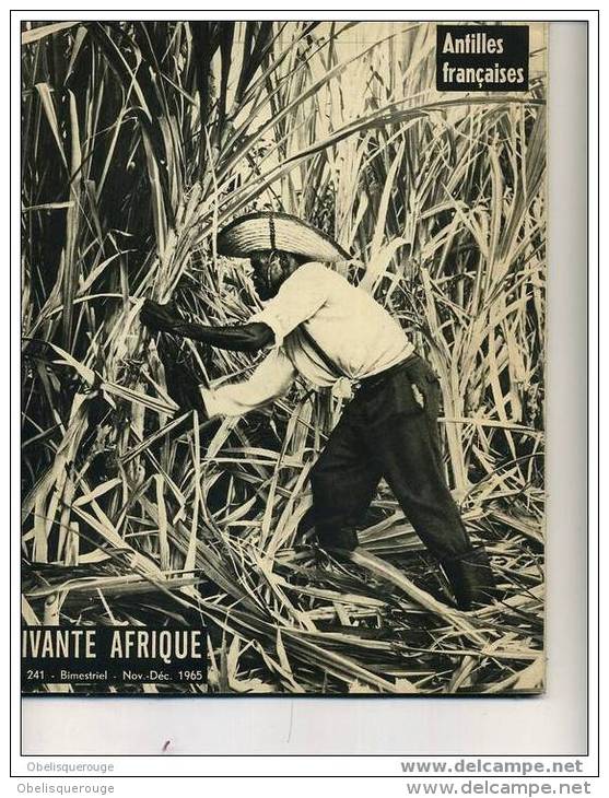 VIVANTE AFRIQUE LES ANTILLES FRANCAISES NOV DEC 1965 N°241 56 PAGES - Outre-Mer