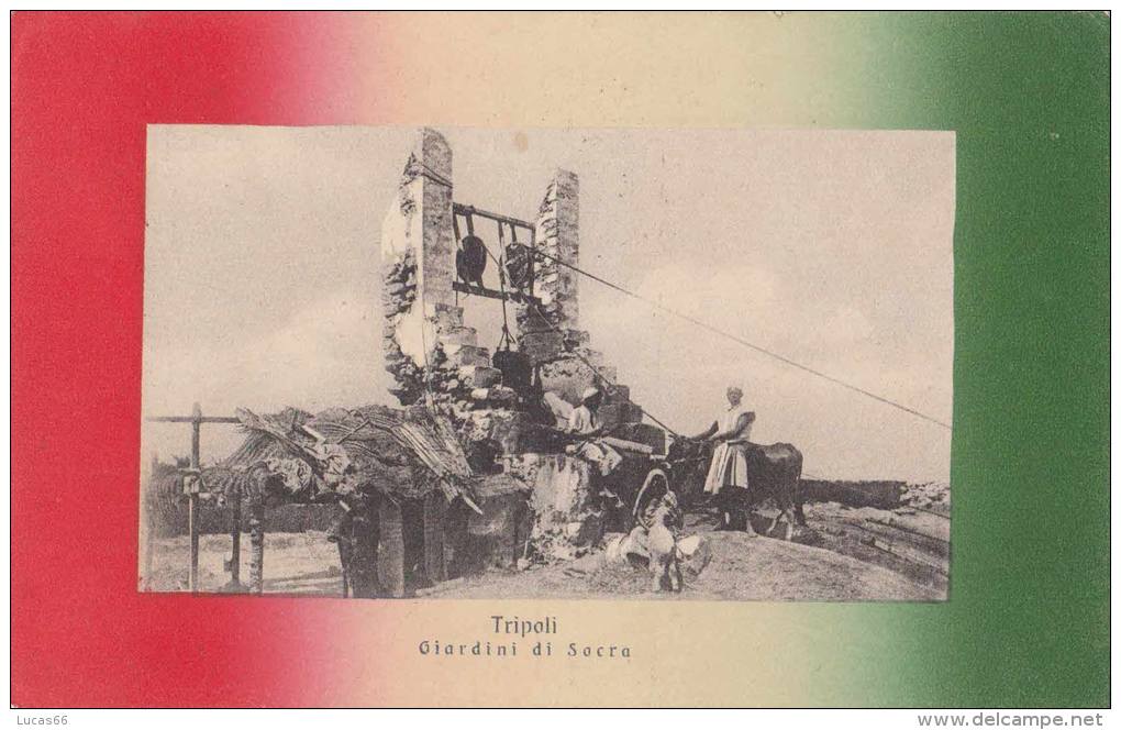 1916 COLONIE ITALIANE - TRIPOLI - GIARDINI DI SOCRA - Libye