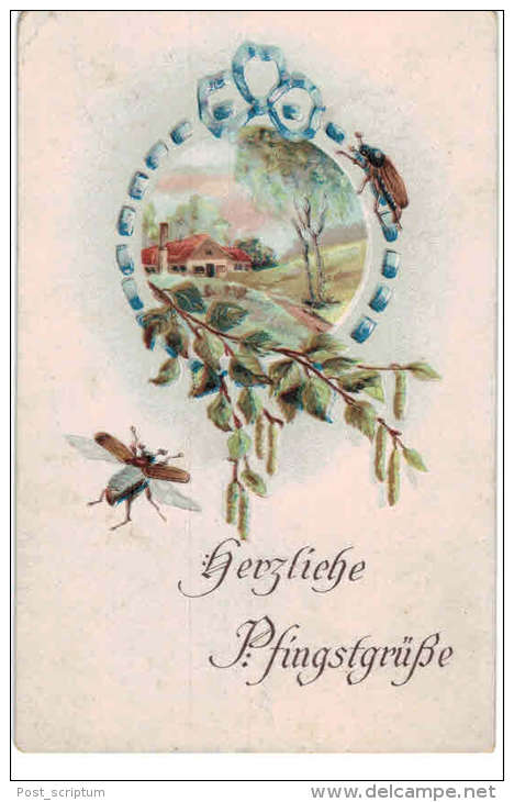 Thème - Voeux - Herzliche  Pfingstgrüsse - Insectes - Feldpost - Pinksteren