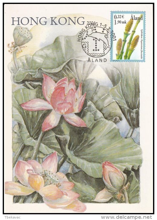 Aland 2001,  Maximum Card "Flowers" - Cartes-Maximum (CM)