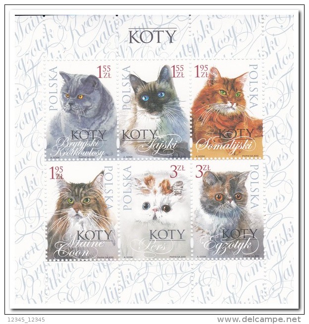 Polen 2010 Postfris MNH Cats - Ungebraucht