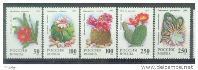 RUS 1994-363-7 CACTES, RUSSIA, 1 X 5v, MNH - Cactus