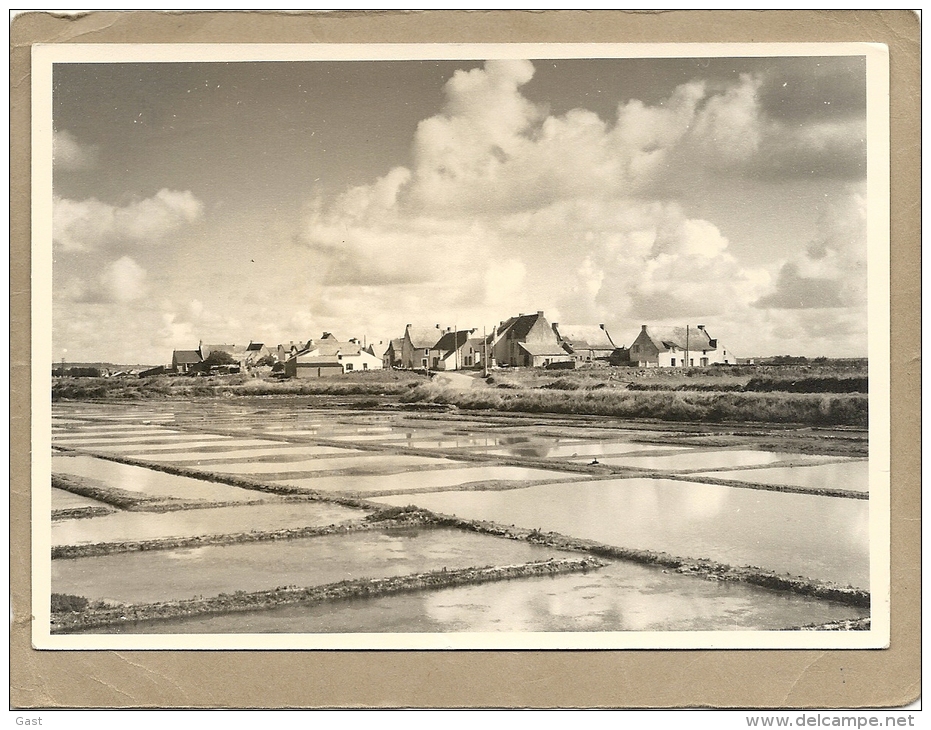 44    ROFFIAT    VILLAGE  DE  PALUDIERS - Saint Julien De Vouvantes