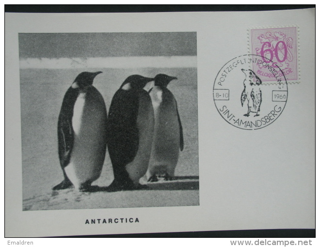 St.-Amandsberg. Zuidpool - Antarctique. - Souvenir Cards - Joint Issues [HK]