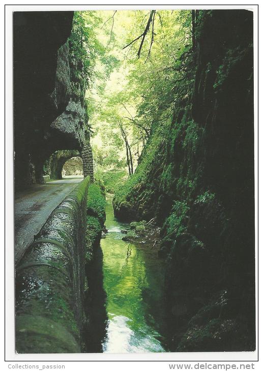 CP, 38, LE VERCORS, Route Des Grands Goulets, écrite - Vercors