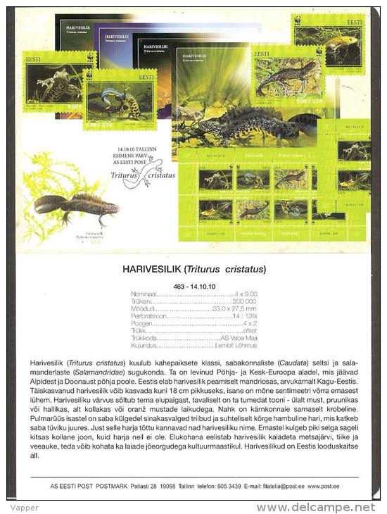 WWF Estonia 2010 Stamps Presentation Card Great Crested Newt (Triturus Cristatus) Is A Family Salamandridae. Mi 674-7 - Lettres & Documents