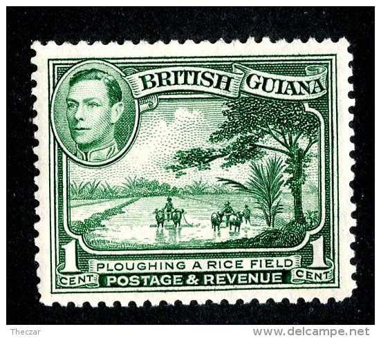 126 X)  Br.Guiana 1938  SG.308a ~    Mnh** - Guyana Britannica (...-1966)