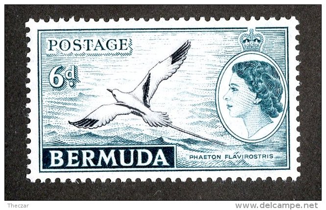 148 X)  Bermuda 1953  SG.143 ~  Mnh** - Bermudes